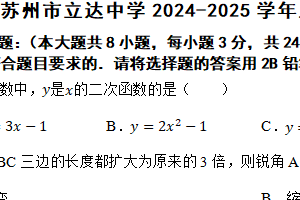 江苏省苏州市立达中学2024-2025学年上学期九年级数学期中考试题（含答案）