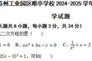 江苏省苏州市苏州工业园区唯亭学校2024-2025学年九年级上学期11月期中数学试题（含答案）