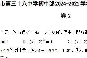 江苏省徐州市第三十六中学初中部2024-2025学年上学期九年级数学期中模拟卷2（含答案）