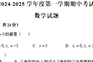 江苏省徐州市沛县第五中学2024-2025学年九年级上学期11月期中考试数学试题（含答案）