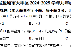 江苏省盐城市大丰区2024-2025学年九年级上学期11月期中考试数学试题（含答案）