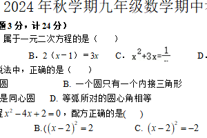 江苏省盐城市大丰区实验初中教育集团联考2024-2025学年九年级上学期10月期中考试数学试题（含答案）