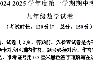 江苏省盐城市东台实验中学教育集团2024-2025学年九年级上学期期中考试数学试题（含答案）
