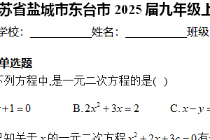 江苏省盐城市东台市2024-2025学年九年级上学期11月期中调研数学试卷（含解析）