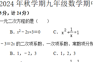 江苏省盐城市盐都区五校联考2024-2025学年九年级上学期11月期中数学试题（含答案）