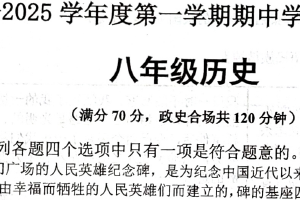 江苏省宿迁市宿城区新区教学共同体2024-2025学年八年级上学期11月期中历史试题（含答案）