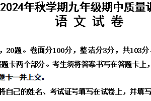 江苏省常州市金坛区2024-2025学年九年级上学期期中考试语文试题（含答案）