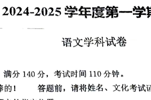 江苏省徐州市沛县第五中学2024-2025学年九年级上学期11月期中语文试题（含答案）
