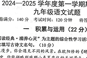江苏省徐州市邳州市2024-2025学年九年级上学期11月期中语文试题（含答案）