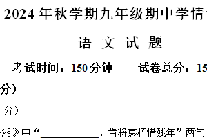 江苏省盐城市阜宁县2024-2025学年九年级上学期期中语文试题（含解析）