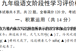 江苏省镇江市句容市2024-2025学年九年级上学期期中阶段性学习评价语文试题（含答案）