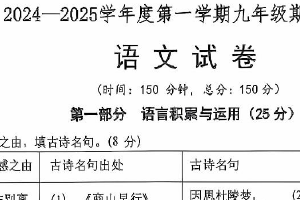 江苏省淮安市阳光学校2024-2025学年九年级上学期期中考试语文试题（含答案）