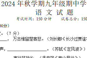 江苏省盐城市盐城经济技术开发区校联考2024-2025学年九年级上学期11月期中语文试题（含答案）