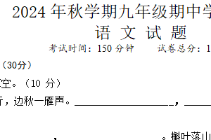 江苏省盐城市盐都区五校2024-2025学年九年级上学期11月期中联考语文试题（含答案）