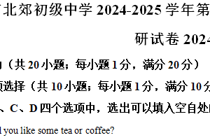 江苏省常州市北郊初级中学2024-2025学年上学期九年级英语期中质量调研试卷（含解析）