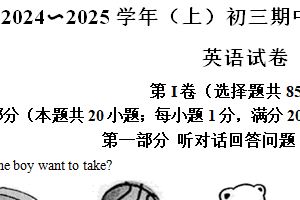 江苏省南通市通州区2024—2025学年九年级上学期英语期中学业水平质量监测试卷（含解析）