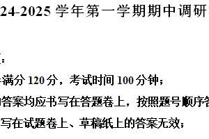 江苏省苏州市工业园区星澄学校2024-2025学年九年级上学期11月期中考试英语试题（含解析）