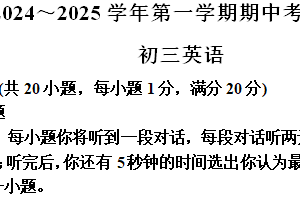 江苏省苏州市立达中学2024-2025学年九年级上学期期中英语试题（含解析）