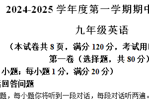 江苏省宿迁市宿城区2024-2025学年九年级上学期期中英语试题（含答案）