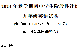江苏省泰州市兴化市2024-2025学年九年级上学期11月期中考试英语试题（含答案+听力音频）