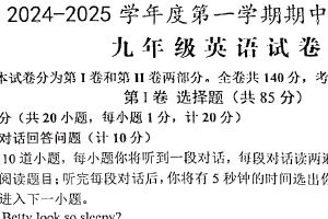 江苏省盐城市大丰区2024-2025学年九年级上学期11月期中英语试题（含答案）