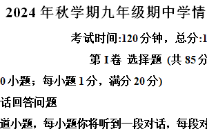 江苏省盐城市阜宁县2024-2025学年九年级上学期期中学情调研英语试题（含解析）