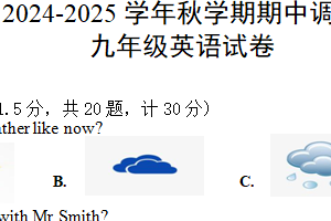江苏省盐城市盐城经济技术开发区联考2024-2025学年九年级上学期11月期中考试英语试题（含答案+听力音频）