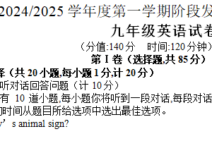 江苏省盐城市盐都区第一共同体2024-2025学年九年级上学期11月期中考试英语试卷（含答案）