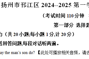 江苏省扬州市邗江区2024-2025学年九年级上学期期中考试英语试卷（含解析+听力音频）