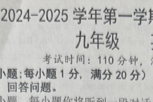 江苏省扬州市仪征市2024-2025学年九年级上学期11月期中考试英语试题（含答案）