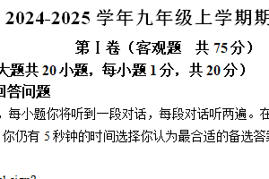 江苏省镇江市丹阳市第八中学2024-2025学年九年级上学期期中测试英语试卷（含解析）