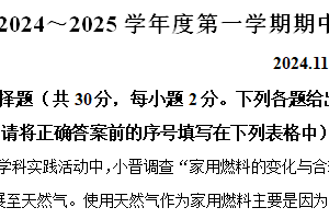 江苏省常州市2024-2025学年九年级上学期11月期中物理试题（含解析）