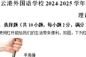 江苏省连云港外国语学校2024-2025学年九年级上学期期中考试物理试题（含解析）