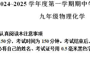 江苏省南通市海安市2024-2025学年九年级上学期期中考试物理试题（含解析）