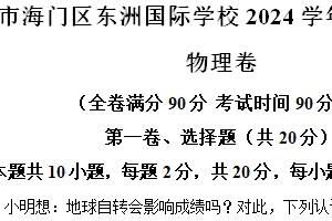 江苏省南通市海门区东洲国际学校2024-2025学年九年级上学期11月期中物理试题（含解析）