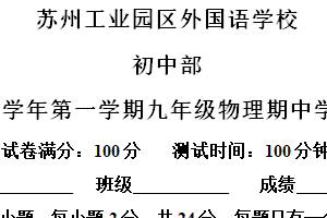 江苏省苏州市工业园区外国语学校2024-2025学年上学欺九年级物理11月期中卷（含解析）