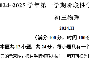 江苏省苏州市昆山、太仓、常熟、张家港四市2024-2025学年上学期九年级物理期中阳光测评卷（含解析）