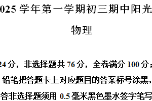 江苏省苏州市吴中、吴江、相城、高新区2024-2025学年九年级上学期期中阳光调研物理试题（含解析）