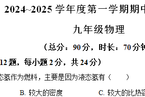 江苏省宿迁市沭阳县2024-2025学年九年级上学期11月期中物理试题（含解析）