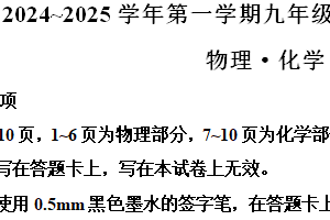 江苏省宿迁市泗阳县2024-2025学年九年级上学期期中考试物理试题（含解析）