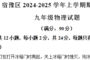 江苏省宿迁市宿豫区2024-2025学年九年级上学期11月期中物理试题（含解析）