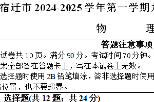 江苏省宿迁市中原二中2024-2025物理期中模拟卷（含解析）