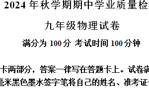 江苏省无锡市滨湖区无锡市梅里中学2024-2025学年九年级上学期11月期中物理试题（含解析）