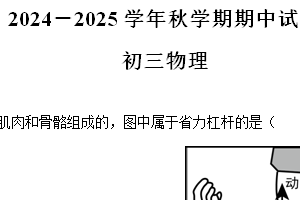 江苏省无锡市大桥实验学校2024-2025学年九年级上学期11月期中物理试题（含解析）