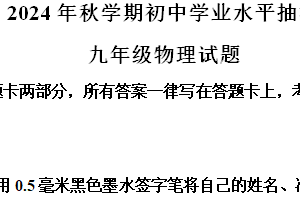江苏省无锡市侨谊实验中学2024-2025学年九年级上学期11月期中物理试题（含解析）