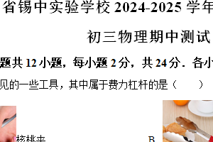 江苏省无锡市锡山高级中学实验学校2024-2025学年九年级上学期11月期中物理试题（含解析）