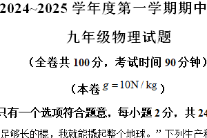 江苏省徐州市2024-2025学年九年级上学期11月期中物理试题（含解析）