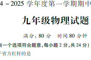 江苏省徐州市丰县2024-2025学年九年级上学期期中物理试卷（含答案）