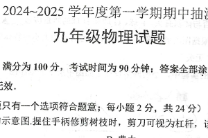 江苏省徐州市邳州市2024-2025学年九年级上学期期中物理试卷（含答案）
