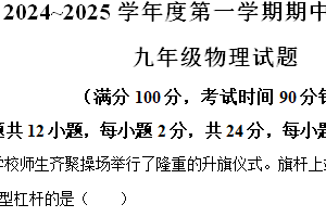 江苏省徐州市铜山区2024-2025学年九年级上学期期中质量自测物理试题（含解析）